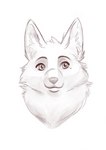 Rating: s
ID: 2752900
Date: 2021-05-23 23:27:12 -0400
Status: active
Score: 8
absurd_res anthro canid canine canis draft_(disambiguation) female fluffy hi_res lovelessvix mammal sketch solo wolf post #2752900
