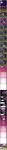 post #506034