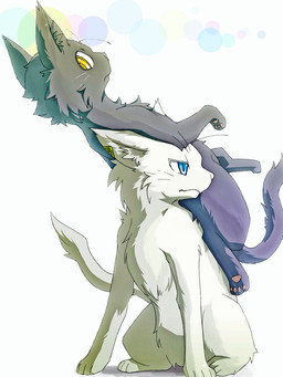 2015 3:4 antennae_(anatomy) black_body black_fur blue_eyes duo ear_piercing felid feral fur homura_(neko_no_chikyugi) kasuka kemono leaning male male/male mammal neko_no_chikyugi piercing rokh_(artist) white_body white_fur yellow_eyes