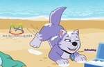 Rating: s
ID: 5583835
Date: 2025-05-19 13:49:33 -0400
Status: active
Score: 22
beach blue_eyes canid canine canis collar cooler cooling_off domestic_dog english_text everest_(paw_patrol) female feral hi_res husky mammal marvispot84 nickelodeon nordic_sled_dog paw_patrol running siberian_husky snow solo spitz text post #5583835