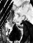 Rating: s
ID: 667333
Date: 2015-06-04 23:46:19 -0400
Status: active
Score: -1
2015 abstract_background anthro canid canine canis digital_media_(artwork) fence fur greyscale hi_res low-angle_view mammal monochrome perspective plant simple_background solo street_lamp tree wolf worm's-eye_view zvxtriad post #667333