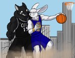 Rating: s
ID: 4486310
Date: 2023-12-21 18:35:24 -0500
Status: active
Score: 11
anthro ball bared_teeth basketball_(ball) basketball_uniform biped black_body black_bottomwear black_clothing black_fur black_shirt black_shorts black_tank_top black_topwear blue_bottomwear blue_clothing blue_eyes blue_shirt blue_shorts blue_tank_top blue_topwear boston_celtics bottomwear building building_destruction canid canine canis city clothing conejito destruction duo dust_cloud foxenawolf fur golden_state_warriors lagomorph leporid looking_at_another macro male mammal nba rabbit shirt shorts skyscraper sportswear tank_top topwear uniform wendingo_(character) white_body white_fur wolf post #4486310