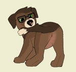 Rating: s
ID: 5642750
Date: 2025-06-14 21:08:15 -0400
Status: active
Score: 6
angry bite butt canid canine canis domestic_dog eyewear feral hi_res male mammal nude presenting presenting_hindquarters puppyratcat solo tail tail_bite tail_in_mouth young post #5642750