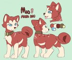 Rating: s
ID: 5372770
Date: 2025-02-14 15:52:41 -0500
Status: active
Score: 9
akita akita_inu bloowolfy blue_eyes brown_collar canid canine canis collar domestic_dog fan_character female feral fur ginga_(series) hi_res mammal model_sheet red_body red_fur smile solo spitz post #5372770