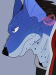 Rating: s
ID: 3961946
Date: 2023-03-30 18:00:21 -0400
Status: active
Score: 5
2023 3:4 absurd_res anthro anubis_cruger black_nose blue_body blue_eyes blue_scales canid canine canis cerberustheterrible_(artist) clothing domestic_dog grey_background hair headshot_portrait hi_res male mammal portrait power_rangers power_rangers_spd scales side_view signature simple_background solo post #3961946