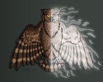Rating: s
ID: 5559197
Date: 2025-05-09 01:43:53 -0400
Status: active
Score: 1
ambiguous_gender avian beak bird brown_body brown_feathers brown_fish_owl digital_drawing_(artwork) digital_media_(artwork) feathered_wings feathers feral grey_beak guardians_of_ga'hoole hi_res ketupa looking_at_viewer owl scar shenzaibird simon_(gogh) simple_background solo symmetry tail tail_feathers true_owl wings yellow_eyes post #5559197