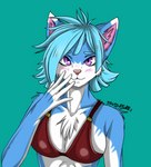 Rating: s
ID: 3788091
Date: 2023-01-02 20:16:27 -0500
Status: active
Score: 14
blue_body blue_fur blue_hair felid feline female fur hair hi_res mammal purple_eyes solo spike_the_furry vikna_(fluff-kevlar) white_body white_fur post #3788091