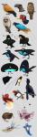 Rating: s
ID: 2131005
Date: 2020-01-27 20:01:26 -0500
Status: active
Score: 27
2_heads 2_plumes 3_talons 3_toes 4_talons 4_toes 6_head_plumes 6_plumes absurd_res ambiguous_gender anisodactyl aquatic_gastropod avian avian_caruncle avian_feet bald beak big_pupils biped bird black_beak black_body black_crest black_eyes black_face black_feathers black_feet black_markings black_scutes black_tail black_tail_feathers black_talons black_wattle black_wings blue_beak blue_bird-of-paradise blue_body blue_eyes blue_face blue_feathers blue_feet blue_plume blue_scutes blue_wings branch bronze_parotia brown_beak brown_body brown_face brown_feathers brown_tail brown_tail_feathers bucerotiform capuchinbird casque_(anatomy) chiakiro cotingid countershade_feathers countershade_torso countershading courtship crescent-caped_lophorina dark_beak dark_body dark_eyes dark_face dark_feathers dark_feet dark_pupils dark_tail dark_tail_feathers dark_talons dark_wattle dark_wings dewlap_(anatomy) dipstick_beak dipstick_tail eye_markings feathered_crest feathered_wings feathers feet feral fish flank_plume folded_wings gastropod great_potoo greater_lophorina green_eyes grey_beak grey_body grey_face grey_feathers grey_feet grey_scutes grey_tail grey_tail_feathers grey_wings head_crest head_plume headshot_portrait helmeted_hornbill hi_res hooked_beak hornbill king_of_saxony_bird-of-paradise kiwi_(bird) light_beak light_body light_feathers lionfish long-wattled_umbrellabird long_plume long_tail long_tail_feathers looking_up lophorina male marine markings mating_ritual mollusk monotone_beak monotone_body monotone_crest monotone_face monotone_feathers monotone_feet monotone_tail monotone_wings mouth_closed multi_head multicolored_beak multicolored_body multicolored_face multicolored_feathers multicolored_plume multicolored_tail multicolored_wings multiple_images narrow_beak new_world_suboscine no_sclera on_branch open_beak open_mouth orange_body orange_face orange_feathers orange_plume orange_tail orange_tail_feathers orange_wings oscine paradisaea_(genus) paradisaeid parotia passerine perching perciform plume plumes pointy_beak portrait potoo pupils ratite red_body red_eyes red_face red_feathers red_tail red_tail_feathers red_wings scorpaeniform scorpaenoid scutes sea_angel sea_slug short_beak slug solo species_request spots spotted_body spotted_feathers spotted_markings spread_wings standing suboscine tail tail_feathers tail_markings tail_wire talons tan_beak tan_eyes tan_feet tan_scutes thick_beak toe_talons toes turquoise_body turquoise_feathers turquoise_wings two_tone_beak two_tone_body two_tone_face two_tone_feathers two_tone_wings umbrellabird wattle western_parotia white_beak white_body white_countershading white_eyes white_face white_feathers white_markings white_plume white_spots white_wings wide_tail wings yellow_beak yellow_eyes yellow_face yellow_plume post #2131005