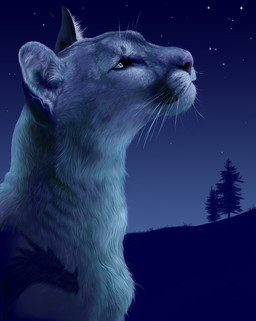 2009 adobe_photoshop_(artwork) blue_eyes cougar detailed_background digital_media_(artwork) felid feline feral fur grass looking_up male mammal moth-eatn night outside photorealism plant restricted_palette sky solo star starry_sky tree whiskers wood