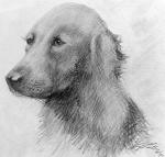 Rating: s
ID: 1461301
Date: 2018-02-19 03:59:48 -0500
Status: active
Score: 288
1929 20th_century ambiguous_gender ancient_art bust_portrait canid canine canis dated domestic_dog feral floppy_ears forgery_(artwork) graphite_(artwork) greyscale lol_comments looking_at_viewer low_res mammal monochrome portrait realistic shaded signature sitting solo traditional_media_(artwork) unknown_artist post #1461301