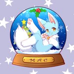 Rating: s
ID: 5097972
Date: 2024-10-06 15:24:45 -0400
Status: active
Score: 33
3_fingers 3_toes absurd_res bell bell_collar black_nose blue_body blue_fur christmas christmas_tree collar detailed_background domestic_cat feet felid feline felis feral fingers fur hi_res holidays holly_(plant) inner_ear_fluff kryztar looking_at_viewer mac_(shrike_alvaron) male mammal name_plate pawpads paws plant snow snow_globe snowflake solo star toes tree tuft white_body white_fur yellow_eyes post #5097972