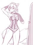 Rating: s
ID: 1242838
Date: 2017-06-14 04:05:45 -0400
Status: active
Score: 34
2017 3:4 anthro black_nose breasts canid canine canis choker clothed clothing clovis_(twokinds) corset crossgender digital_media_(artwork) female fox gloves_(marking) hair hand_behind_head heresy_(artist) hi_res hybrid jewelry keidran lace lingerie looking_at_mirror looking_at_object mammal markings mirror monochrome mtf_crossgender necklace panties pose simple_background sketch skimpy solo topwear twokinds underwear white_background wolf post #1242838