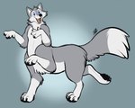 Rating: s
ID: 5607310
Date: 2025-05-29 16:31:50 -0400
Status: active
Score: 9
2021 4_legs 6_limbs artist_initials black_nose black_pawpads blue_background blue_pupils canid canid_taur canine canine_taur canis colored countershade_face countershade_fur countershade_neck countershade_torso countershading dipstick_tail facial_tuft fur gloves_(marking) gradient_background grey_body grey_fur handpaw leg_markings looking_at_viewer male mammal mammal_taur markings neck_tuft nude nude_male nude_taur open_mouth open_smile pastel_theme pastelcore pawpads paws pupils side_view simple_background smile socks_(marking) solo standing step_pose tail tail_markings taur teeth three-quarter_view tieg_graywolf tongue tuft white_body white_countershading white_inner_ear white_markings wolf wolf_taur post #5607310