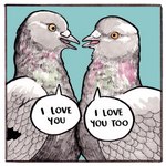 Rating: s
ID: 2909190
Date: 2021-09-03 03:33:23 -0400
Status: active
Score: 51
1:1 2021 ambiguous/ambiguous ambiguous_gender avian beak bird border columbid dialogue digital_media_(artwork) duo english_text falseknees feathered_wings feathers feral i_love_you pigeon rock_dove romantic romantic_couple text traditional_media_(artwork) white_border white_speech_bubble wings post #2909190