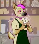 Rating: s
ID: 2064558
Date: 2019-11-24 16:24:33 -0500
Status: active
Score: 21
2019 anthro apron barrista blush canid canine canis clothing coffeshop collar collar_tag detailed_background domestic_dog female hair herding_dog mammal mosstheopossum pastoral_dog pink_collar pink_hair schipperke sheepdog smile solo willow_(disambiguation) post #2064558