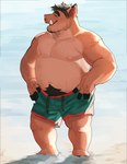 Rating: s
ID: 4871506
Date: 2024-06-22 18:49:29 -0400
Status: active
Score: 46
absurd_res anthro beach bodily_fluids body_hair clothing facial_hair full-length_portrait happy_trail hi_res lhjal2 light lighting male mammal morris_(wtdl) musclegut muscular portrait solo suid suine sus_(pig) sweat swimming_trunks swimwear tusks wet wet_body where_the_demon_lurks post #4871506