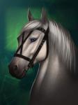 Rating: s
ID: 1245870
Date: 2017-06-17 14:28:31 -0400
Status: active
Score: 17
2017 3:4 ambiguous_gender anuta_belko blue_eyes bridle digital_media_(artwork) equid equine feral fur green_background headshot_portrait hi_res horse looking_at_viewer mammal mane monotone_body monotone_face monotone_fur monotone_mane portrait quadruped riche short_fur side_view simple_background snout solo white_body white_ears white_face white_fur white_mane post #1245870