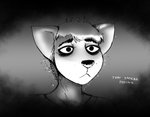 post #2564703