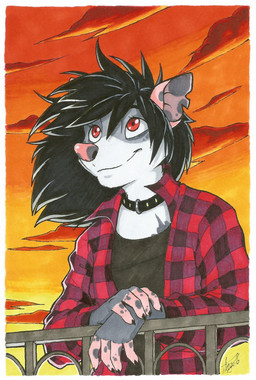 2018 5_fingers anthro black_hair clothed clothing day female hair mammal marsupial nitani opossum outside red_eyes sky smile solo traditional_media_(artwork)
Rating: Safe
Score: 4
User: Millcore
Date: April 19, 2018 2018 5_fingers anthro black_hair clothed clothing day female hair mammal marsupial nitani opossum outside red_eyes sky smile solo traditional_media_(artwork)
Rating: Safe
Score: 4
User: Millcore
Date: April 19, 2018
