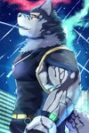 Rating: s
ID: 5518927
Date: 2025-04-20 23:13:27 -0400
Status: active
Score: 2
2023 absurd_res anthro black_clothing black_nose black_shirt black_tank_top black_topwear canid canine canis clothed clothing domestic_dog green_eyes hand_in_pocket hi_res husky kemo_kemo56 lifewonders live_a_hero male mammal monomasa muscular muscular_anthro muscular_male nordic_sled_dog pockets red_sclera shirt shooting_star sky solo spitz star staring_up starry_sky tank_top topwear post #5518927