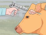 Rating: s
ID: 4952290
Date: 2024-07-30 13:00:46 -0400
Status: active
Score: -38
4:3 absurd_res ambiguous_gender bolt_pistol bovid bovine brain cattle cc-by-nc-sa creative_commons digital_media_(artwork) duo euthanasia execution faceless_character faceless_human fence feral feral_focus grass hi_res human imminent_death lol_comments mammal organs plant unknown_artist wikihow post #4952290
