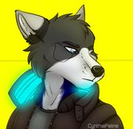 post #4569137