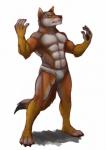 Rating: s
ID: 1125288
Date: 2017-02-01 20:33:14 -0500
Status: active
Score: 12
abs anthro barefoot biped black_nose bluechance brown_body brown_fur canid canine canis clothed clothing cosplay coyote feet fluffy fluffy_tail fur green_eyes hi_res male mammal muscular muscular_anthro muscular_male ochropus simple_background solo standing tail underwear white_background post #1125288
