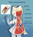 Rating: s
ID: 5590761
Date: 2025-05-22 13:52:40 -0400
Status: active
Score: 22
anatomy biological_illustration bone clothing cross_section dress english_text feefal female fingers hi_res humanoid pelvis pseudo_hair rib_cage skeleton smile solo technical_illustration text tooth_creature translucent_bones unusual_bones white_pseudo_hair post #5590761