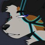 Rating: s
ID: 2675046
Date: 2021-03-30 03:44:23 -0400
Status: active
Score: 18
1:1 alvano_amala anthro bernese_mountain_dog canid canine canis domestic_dog donitkitt facial_tattoo heterochromia icon male mammal molosser mountain_dog shin_megami_tensei_iii_nocturne solo swiss_mountain_dog tattoo post #2675046