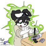 Rating: s
ID: 557533
Date: 2014-11-12 20:40:48 -0500
Status: active
Score: 53
anthro border_collie canid canine canis clothing coat collie domestic_dog eyewear goggles herding_dog lab_coat male mammal pastoral_dog ranged_weapon raygun roni_collins science sheepdog shrinking size_transformation solo sydneysnake text topwear transformation url weapon wolfblade young young_anthro post #557533
