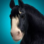 Rating: s
ID: 2820491
Date: 2021-07-08 02:23:56 -0400
Status: active
Score: 36
1:1 ambiguous_gender angus_(disney) black_body black_fur blue_background bust_portrait equid equine fur horse low_res mammal mane multicolored_body multicolored_fur official_art portrait simple_background solo unknown_artist post #2820491