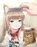 Rating: s
ID: 2571777
Date: 2021-01-14 20:25:16 -0500
Status: active
Score: 63
2021 40hara :< animal_humanoid arms_bent bangs brush brushing brushing_hair cat_humanoid child closed_frown clothing collar comb_(brush) domestic_cat duo felid felid_humanoid feline feline_humanoid felis female feral frown fur green_eyes hair hairbrush half-closed_eyes hi_res humanoid kinako_(40hara) mammal mammal_humanoid mouth_closed multiple_images narrowed_eyes personal_grooming photography_(artwork) real reference_image shirt solo_focus styling_hair tan_hair text text_on_clothing text_on_shirt text_on_topwear topwear triangle_mouth wishbone_mouth young young_female young_humanoid post #2571777