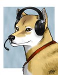 Rating: s
ID: 2925073
Date: 2021-09-12 20:09:54 -0400
Status: active
Score: 109
2014 ambiguous_gender black_nose brown_eyes canid canine canis collar dena_natali domestic_dog electronics female_(lore) feral fur headgear headphones headset headset_microphone konami mammal microphone mira_(silent_hill) multicolored_body multicolored_fur red_collar shiba_inu signature silent_hill solo spitz tan_body tan_fur two_tone_body two_tone_fur white_body white_fur post #2925073