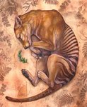 Rating: s
ID: 5607413
Date: 2025-05-29 17:06:10 -0400
Status: active
Score: 18
4_toes ambiguous_gender bird's-eye_view claws curled_up dasyuromorph detailed_background dewclaw dirt eyes_closed feet feral fetal_pose finger_claws fur high-angle_view lying mammal marsupial multicolored_body multicolored_fur on_ground on_side outside pawpads paws plant recently_extinct_species signature solo stripes sushiartstudio tail thylacine toe_claws toes traditional_media_(artwork) post #5607413