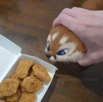Rating: s
ID: 3148664
Date: 2022-01-29 19:18:59 -0500
Status: active
Score: 635
2022 ambiguous_gender big_nug black_body black_fur blue_eyes box canid canine carton chicken_meat chicken_nugget chicken_nugget_grab_meme container countershading digital_media_(artwork) digital_painting_(artwork) disembodied_hand draw_over duo feral food fox fur human humor mammal meat meme orange_body orange_fur painting_(artwork) photo_manipulation photography_(artwork) real red_fox silverfox5213 third-party_edit true_fox whiskers white_body white_fur post #3148664