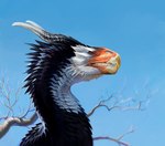 Rating: s
ID: 2741538
Date: 2021-05-16 06:18:06 -0400
Status: active
Score: 11
2021 beak black_body black_scales day detailed_background digital_media_(artwork) dragon headshot_portrait horn katepfeilschiefter mythological_creature mythological_scalie mythology outside portrait scales scalie sky solo teeth post #2741538