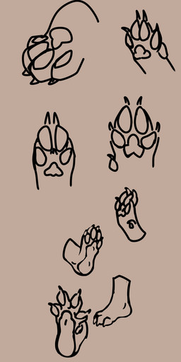 Rating: s
ID: 5743447
Date: 2025-07-29 21:30:43 -0400
Status: active
Score: 5
animal_humanoid anthro bean canid canid_humanoid canine canine_humanoid canis dog_humanoid domestic_dog fox hi_res humanoid hybrid mammal mammal_humanoid paws practice psych0pozzum post #5743447