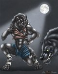 Rating: s
ID: 5641712
Date: 2025-06-14 13:17:11 -0400
Status: active
Score: 0
anthro black_body black_fur bodily_fluids breasts canid canine claws clenched_teeth clothed clothing digitigrade dqueen drooling duo eyes_closed fangs female full_moon fur hi_res human light male mammal moon moonlight mythological_canine mythological_creature mythology naturally_censored no_pupils saliva sharp_teeth simple_background teeth torn_clothing werecanid werecanine werecreature werewolf post #5641712