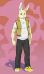 Rating: s
ID: 3915812
Date: 2023-03-08 01:48:44 -0500
Status: active
Score: 11
2013 anthro black_clothing bottomwear clothing dustin_(zephyrhero) eclipticafusion fist footwear full-length_portrait fur hi_res lagomorph leporid long_ears looking_at_viewer male mammal pants portrait rabbit red_background shadow shirt shoes simple_background sneakers snout solo t-shirt topwear vest white_clothing yellow_body yellow_clothing yellow_eyes yellow_fur zephyrhero post #3915812