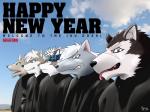Rating: s
ID: 1419785
Date: 2018-01-07 13:41:18 -0500
Status: active
Score: 15
2018 4:3 accessory anthro blue_eyes canid canine canis crossover english_text fur grey_body grey_fur hair headband hi_res holdem holiday_message holidays horkeu_kamui_(tas) kemono lifewonders male mammal man_with_a_mission multicolored_body multicolored_fur new_year pretty_cure rouen_(shining) scar sega shining_(sega) shining_force shining_wind smile smile_pretty_cure text tokyo_afterschool_summoners tongue white_body white_fur white_hair wolf wolfloat_(artist) wolfrun post #1419785