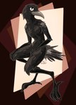 Rating: s
ID: 5322613
Date: 2025-01-21 21:25:16 -0500
Status: active
Score: 16
absurd_res anthro avian avian_arms avian_legs beak bent_legs bird corvid corvus_(genus) crow digital_media_(artwork) digitigrade feathers feet female flat_chested floating full-length_portrait hand_on_knee hand_on_leg hi_res looking_at_viewer male nude nude_anthro nude_female oscine passerine portrait short_tail short_tail_feathers simple_background sitting slight_smile solo tail tail_feathers talons the_foxitect thin_legs toes post #5322613
