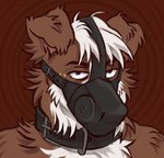 Rating: s
ID: 5648861
Date: 2025-06-17 13:51:08 -0400
Status: pending
Score: 0
anthro bdsm border_collie brown_body brown_fur canid canine canis collar collie digital_media_(artwork) domestic_dog eldridge_moran fur hair herding_dog hi_res kotobulka male mammal mask pastoral_dog sheepdog simple_background white_body white_fur post #5648861