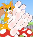 Rating: s
ID: 1774458
Date: 2019-01-24 15:50:29 -0500
Status: active
Score: 67
3_toes amanita amanitaceae anthro barefoot bat biped blush body_blush chest_tuft conditional_dnp crossed_ankles dialogue dust:_an_elysian_tail english_text feet female fidget_(elysian_tail) fly_agaric foot_blush foot_focus fungus green_eyes happy hi_res humanoid_feet looking_at_viewer mammal mushroom nimbat open_mouth open_smile plantigrade smile soles solo spread_toes text toes tuft wings zp92 post #1774458