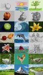 Rating: s
ID: 5666500
Date: 2025-06-25 09:28:12 -0400
Status: pending
Score: 1
2014 ambiguous_gender anatid anseriform apple avian bird boat canid canine canis cetacean chicken day dolphin domestic_cat domestic_dog duck felid feline felis feral flower food fruit galliform gallus_(genus) grass group hi_res lemon mammal marine mountain naircat pear phasianid plant realistic river sea toothed_whale tree vehicle water watercraft post #5666500