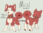 Rating: s
ID: 5304840
Date: 2025-01-13 08:33:32 -0500
Status: active
Score: 11
2022 akita canid canine canis domestic_dog female feral fur ginga_(series) hi_res mammal mio_(bloowolfy) model_sheet red_body red_fur smile solo spitz third-party_edit post #5304840