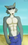 Rating: s
ID: 5641530
Date: 2025-06-14 11:55:44 -0400
Status: active
Score: 6
2023 abs anthro athletic athletic_anthro athletic_male beach beastars blue_bottomwear blue_clothing blue_shorts bottomwear canid canine canis clothed clothing day eyewear eyewear_on_head fur grey_body grey_fur legoshi_(beastars) looking_at_viewer male mammal navel pecs sand sandblastcoyote sea seaside shadow shorts smile solo standing sunglasses sunglasses_on_head swimming_trunks swimwear topless topless_anthro topless_male water white_body white_fur wolf post #5641530