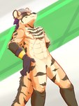 Rating: s
ID: 5663883
Date: 2025-06-24 00:31:38 -0400
Status: pending
Score: 14
abs absurd_res anthro clothing fur gloves handwear hat hat_only headgear headgear_only headwear headwear_only hi_res hyena male mammal mostly_nude nude orange_body orange_fur oshoto_kiba purple_body purple_fur solo sylas xxl_woofia post #5663883