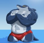 Rating: s
ID: 2676614
Date: 2021-03-31 10:12:18 -0400
Status: active
Score: 26
abs anthro blue_body bottomwear clothing crossed_arms fish flexing hi_res looking_down male marine muscular muscular_anthro muscular_male pecs red_eyes sea shark sharko shorts smile solo teeth water xilam xxsparcoxx zig_and_sharko post #2676614