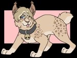 Rating: s
ID: 5615396
Date: 2025-06-01 22:59:56 -0400
Status: active
Score: 2
2017 aliasing alpha_channel ambiguous_gender bell bell_collar blep blue_eyes brown_nose collar digital_drawing_(artwork) digital_media_(artwork) digitigrade ear_tuft eye_through_hair eyebrow_through_hair eyebrows eyelashes felid feline feral feral_with_hair flat_colors full-length_portrait fur grey_collar hair leopard_spots lynx mammal microsoft_paint_(artwork) one_eye_closed paws pink_tongue portrait sebdoggo short_tail smile solo spots standing tail tan_body tan_fur tan_hair tongue tongue_out translucent translucent_hair tuft wink post #5615396