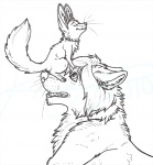 Rating: s
ID: 84344
Date: 2010-07-20 22:04:43 -0400
Status: active
Score: 3
2010 ambiguous_gender canid canine canis coyote duo fennec_fox feral fox kairithekat mammal on_top simple_background tail true_fox watermark white_background post #84344
